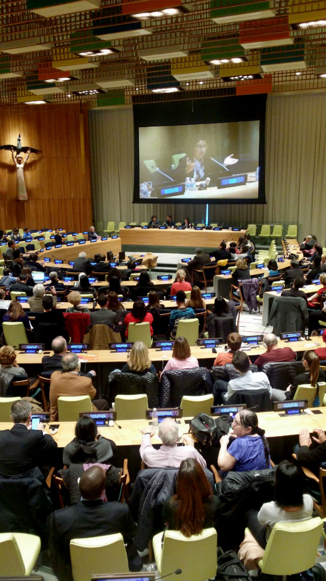 Screening of the film "Giraffada" in the Trusteeship chamber :: UN Photo
