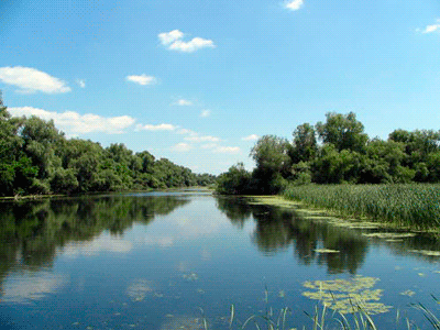 Delta del Danubio. © Marciela