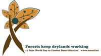 World Day to Combat Desertification 2011 logo