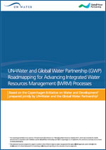Roadmapping for Advancing Integrated Water Resources Management (IWRM) Processes