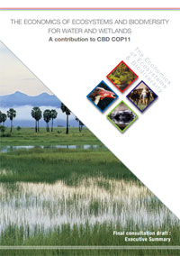 Portada del informe The Economics of Ecosystems and Biodiversity for Water and Wetlands