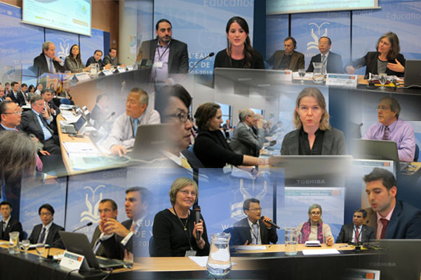 2014 UN-Water Annual International Zaragoza Conference