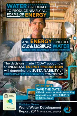 Informe de Naciones Unidas sobre el Desarrollo de los Recursos Hídricos en el Mundo: Agua y energía