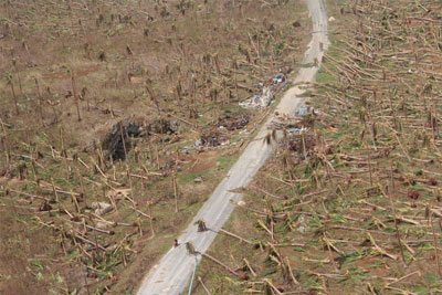 11 de noviembre de 2013, Este de Samar, Filipinas: cocoteros derribados por la tormenta, devastando los medios de vida de las personas de esta región. Crédito: IOM/Conrad Navidad