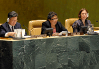UN representatives at the ninth session of the Permanent Forum on Indigenous Issues
