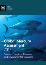 Global Mercury Assessment 2013. Sources, Emissions, Releases and Environmental Transport