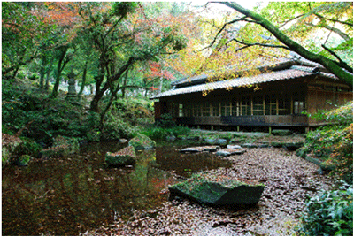 Maintaining and protecting watershed forests.