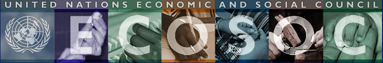 United Nations Economic and Social Council