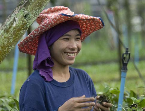 Gender Equality and Trade Policy