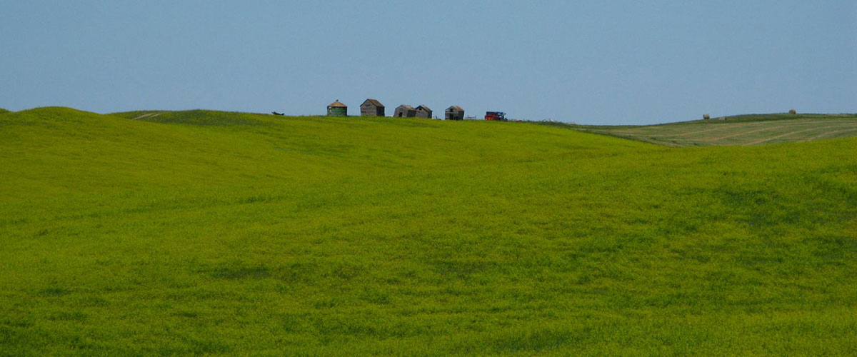 草原农场（美国南达科他州，2009年）。联合国图片