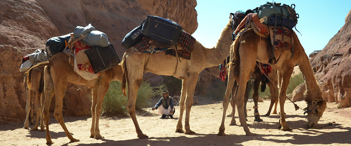 约旦月亮谷的居民用骆驼运送游客行李，以此为生。联合国图片/MJG