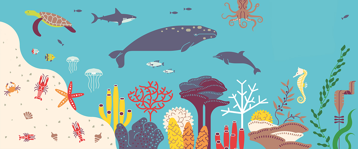2019年世界野生动植物日庆祝活动的官方海报插图。国际野生生物保护学会图片