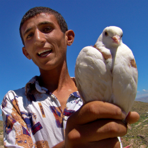 一名亚美尼亚青年手捧一只白色的鸽子。世界银行图片/Yuri Mechitov
