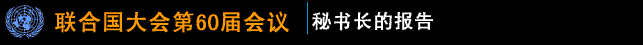秘书长的报告